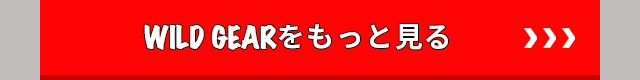 デリカD:5 WILD GEARをもっと見る