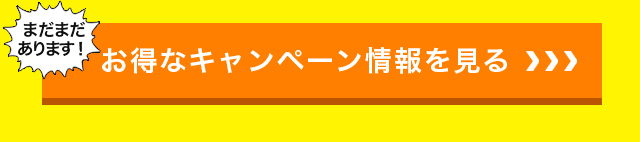 まだまだあります！お得なキャンペーン情報を見る