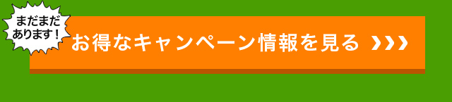 まだまだあります！お得なキャンペーン情報を見る